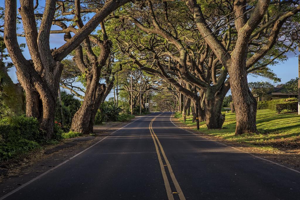 The Historic Wailuku Inn Maui Dış mekan fotoğraf